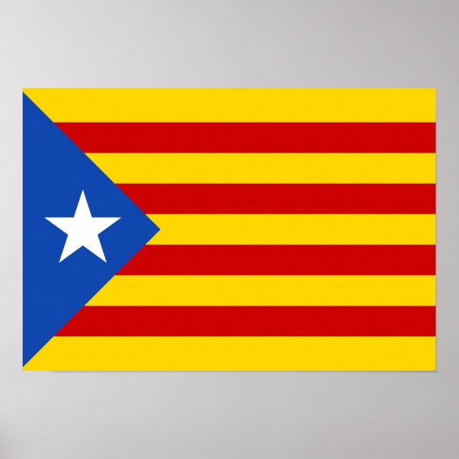Poster Estelada (Devant)