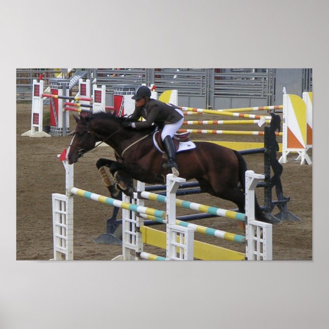 Poster Estes Park Series (3) (Devant)