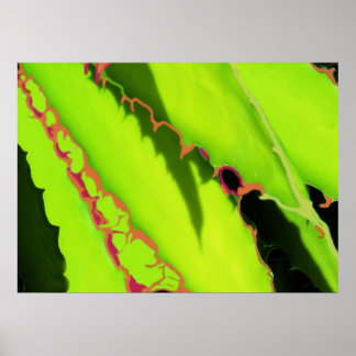 POSTER ET IMPRIMANTES