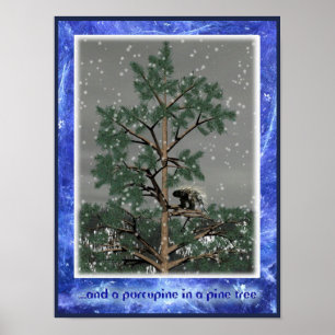 Poster Et Une Porcupine Dans Un Pin Tree