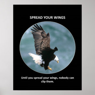 Poster étaler vos ailes