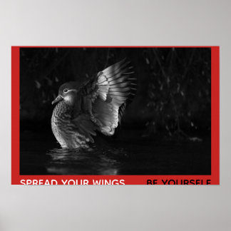 Poster Étalez vos ailes, soyez vous-même Canard mandarin 