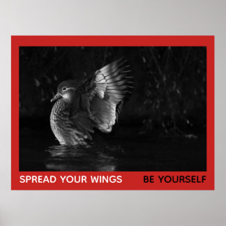 Poster Étalez Vos Ailes Soyez Vous-Même Mandarin Canard P