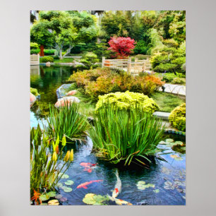 Poster Étang japonais de jardin avec Koi HDR le 10