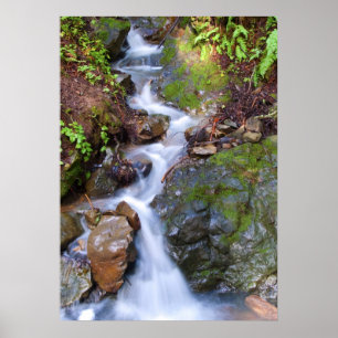 Poster Étape de chute