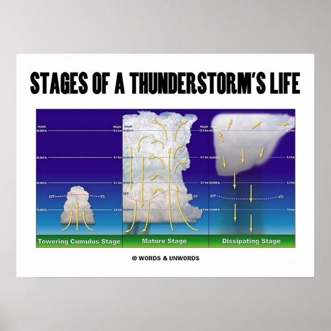 Poster Étapes de la vie d'un orage (Météorologie) (Devant)
