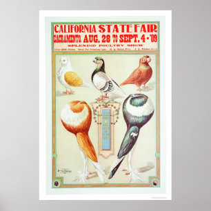 Poster État 1909 juste de la Californie