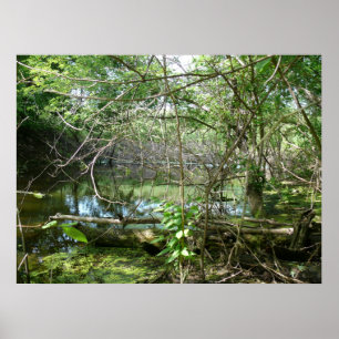 Poster État de confusion