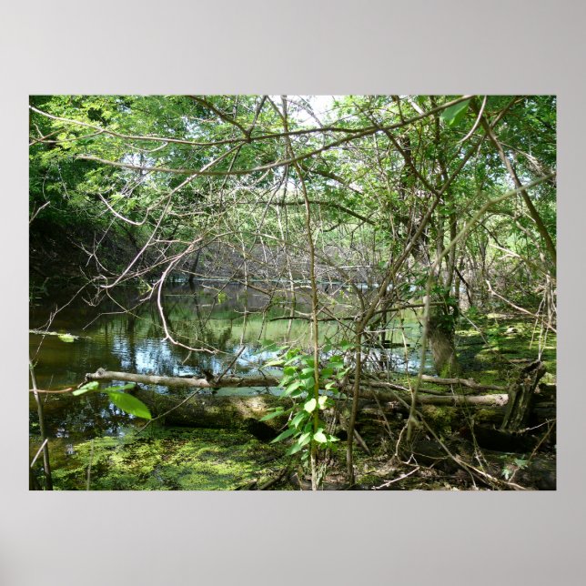 Poster État de confusion (Devant)