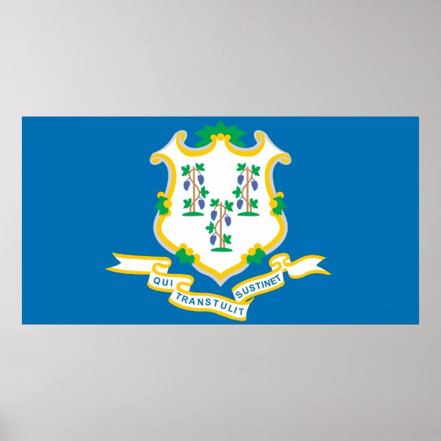 Poster État du drapeau du Connecticut (Devant)