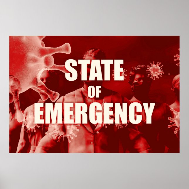 Poster État d'urgence et gestion des crises (Devant)