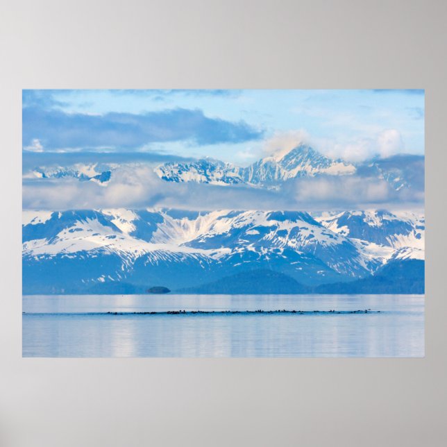Poster États-Unis, Alaska, Parc national de Glacier Bay 6 (Devant)