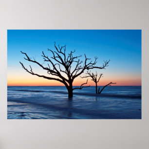 Poster États-Unis, Caroline du Sud, île d'Edisto, baie de