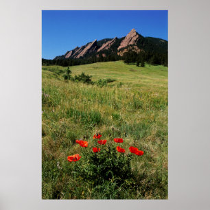 Poster États-Unis, Colorado, Boulder. Flatirons et pavots