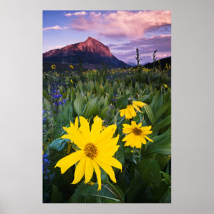 Poster États-Unis, Colorado, Mt. Crested Butte