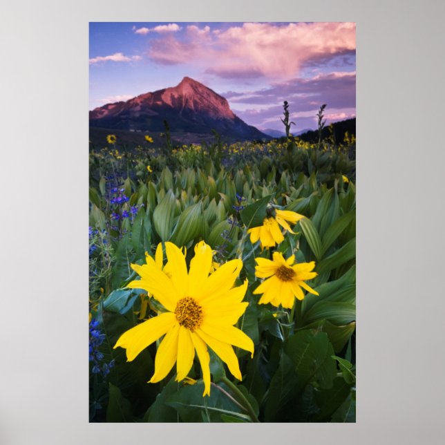 Poster États-Unis, Colorado, Mt. Crested Butte (Devant)