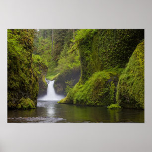 Poster États-Unis, Eagle Creek, Columbia Gorge, Oregon. 3