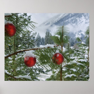 Poster États-Unis, État de Washington, comté de Chelan