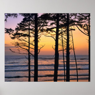 Poster États-Unis, État de Washington, NP olympique. D