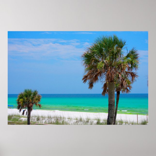 Poster États-Unis, Floride. Palmiers Sur La Côte D'Émerau (Devant)