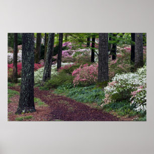 Poster États-Unis, Géorgie, Callaway Gardens.Piste