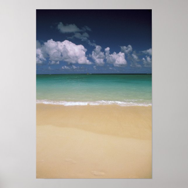 Poster États-Unis, Hawaï. Plage (Devant)