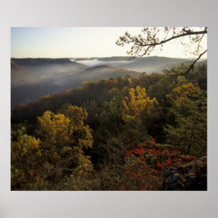 Poster États-Unis, Kentucky. Forêt nationale Daniel Boone