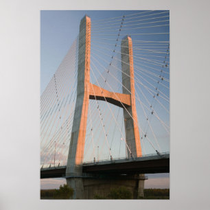 Poster États-Unis, Missouri, Cape Girardeau : The Bill