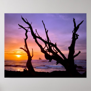 Poster États-Unis, Oregon, Cape Meares. Coucher de soleil