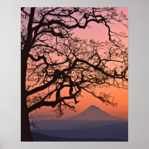 Poster États-Unis, Oregon, Columbia River Gorge National 