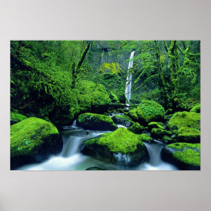 Poster États-Unis, Oregon, Columbia River Gorge National 