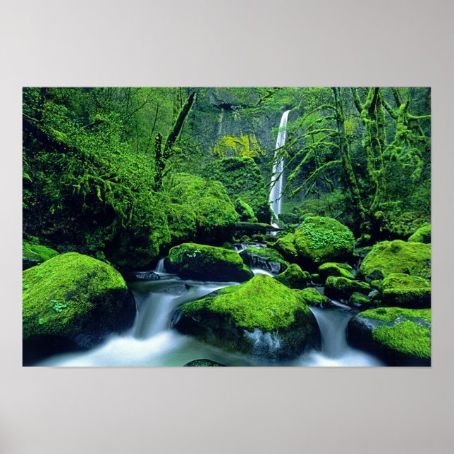 Poster États-Unis, Oregon, Columbia River Gorge National  (Devant)