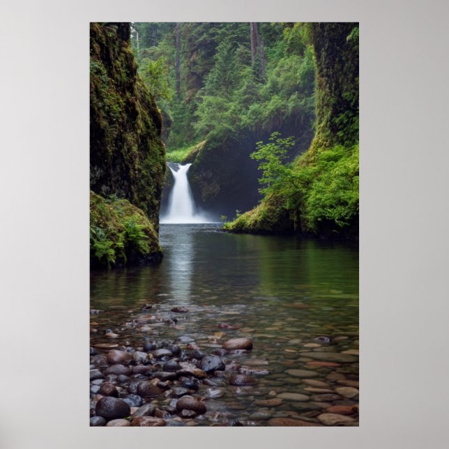Poster États-Unis, Oregon, gorge de Columbia (Devant)