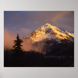 Poster États-Unis, Oregon, Mt. Hood National Forest. Roul