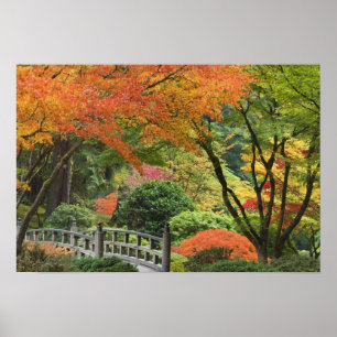 Poster États-Unis, Oregon, Portland. Pont en bois et érab