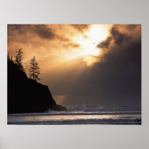 Poster États-Unis, Oregon, près d'Oswald West State Par