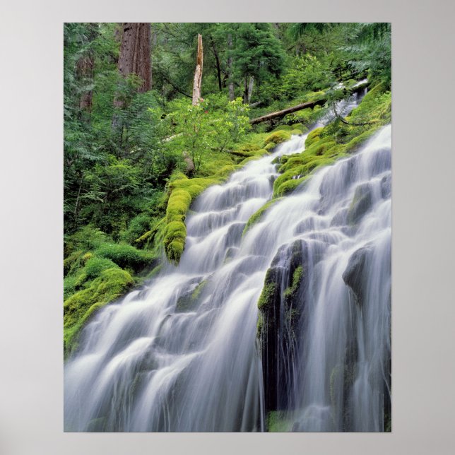 Poster États-Unis, Oregon, Proxy Falls. Proxy Falls se pr (Devant)