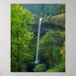 Poster États-Unis, Oregon, Silver Falls State Park