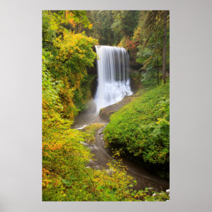 Poster États-Unis, Oregon, Silver Falls State Park 3