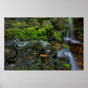 Poster États-Unis, Pennsylvanie, Benton, Ricketts Glen S