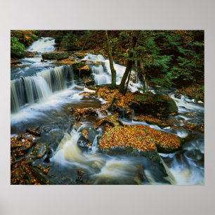 Poster États-Unis, Pennsylvanie, Parc d'État de Ricketts 