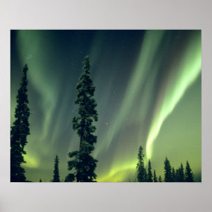 Poster États-Unis, région de Fairbanks, centre de l'Alask