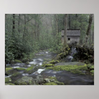 États-Unis, Tennessee, Great Smoky Mountains Natio