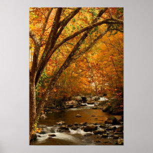 Poster États-Unis, Tennessee. Ruisseau Rushing Mountain 3