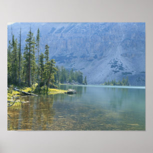 Poster États-Unis, Utah, Ashley National Forest, High Uin