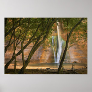 Poster États-Unis, Utah, Escalante Wilderness. Une vue de