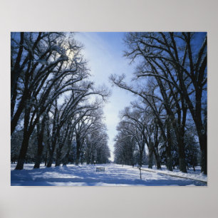 Poster États-Unis, Utah, Salt Lake City, Liberty Park,