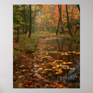 Poster États-Unis, Virginie, Automne dans le parc d'État 