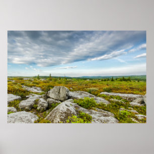 Poster États-Unis, Virginie occidentale, Davis. Landscape