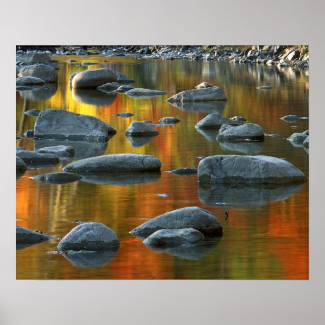 Poster États-Unis, Virginie-Occidentale, Rocks Knob-Senec (Devant)